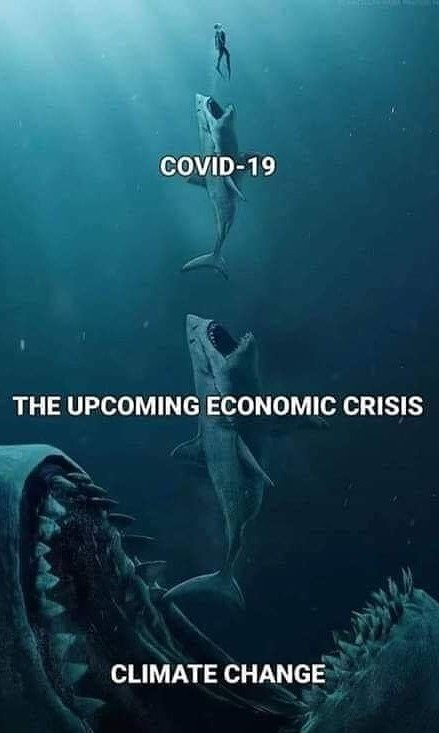 Sharks to Spring – A picture tells a thousand words.